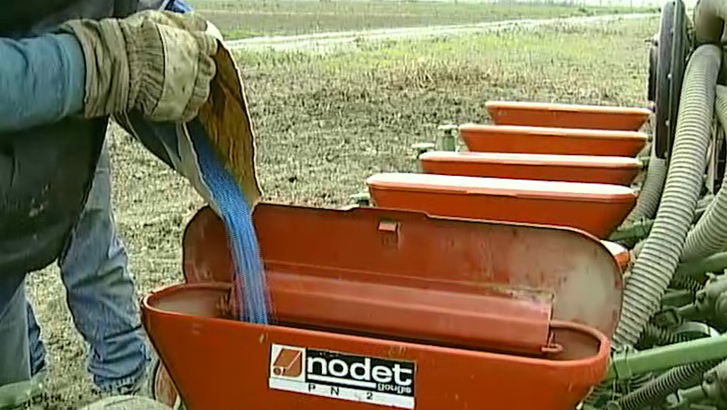 Παγκόσμια Ημέρα Περιβάλλοντος, 5 Ιουνίου