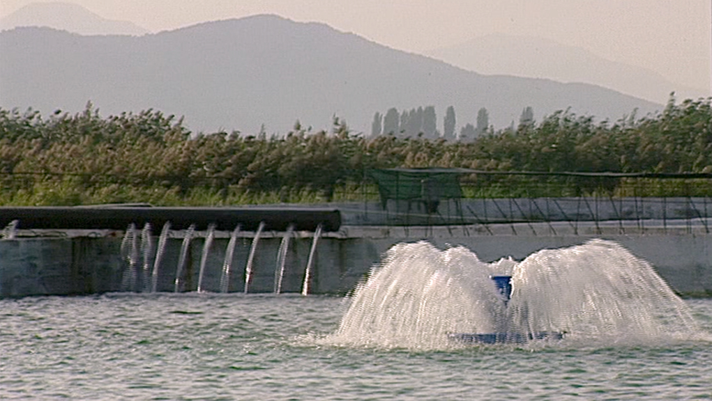 Παγκόσμια Ημέρα για το Νερό – 22 Μαρτίου