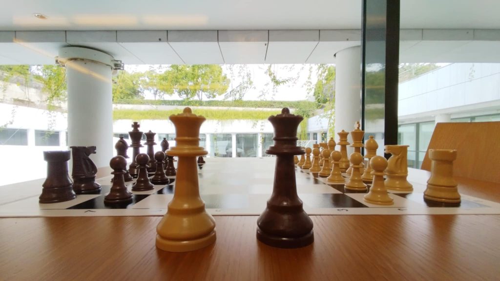 “ΤΟ ΣΚΑΚΙ ΩΣ ΑΝΤΙΚΕΙΜΕΝΟ ΤΕΧΝΗΣ”