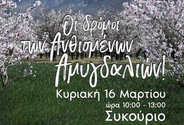 Οι Δρόμοι των Ανθισμένων Αμυγδαλιών