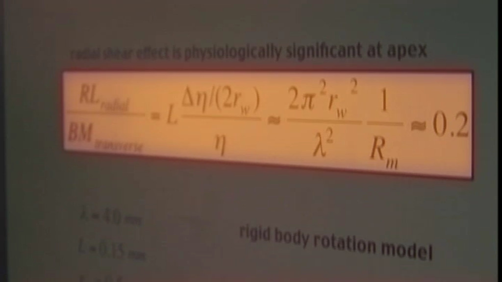 14 Μαρτίου – Παγκόσμια Ημέρα Μαθηματικών