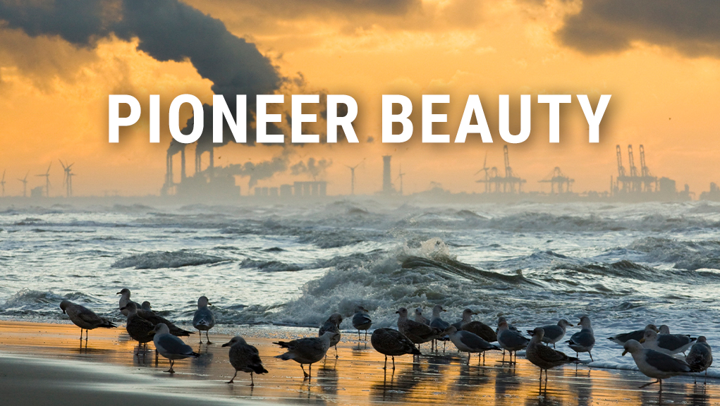 Στο Βασίλειο της Ακτής