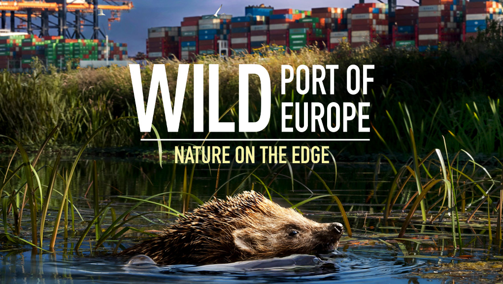 Άγρια Λιμάνια της Ευρώπης